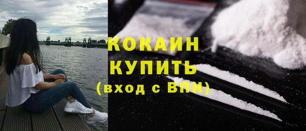 дмт Бородино