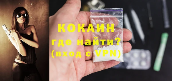 дмт Бородино
