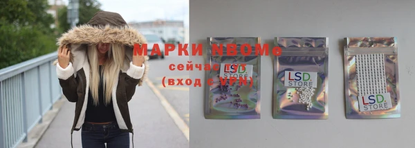 дмт Бородино