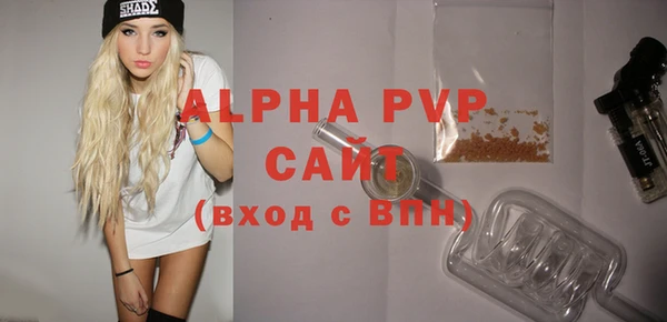 гидра Снежногорск