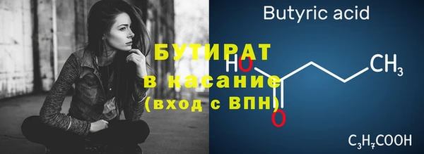 дмт Бородино