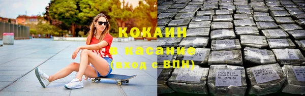 дмт Бородино