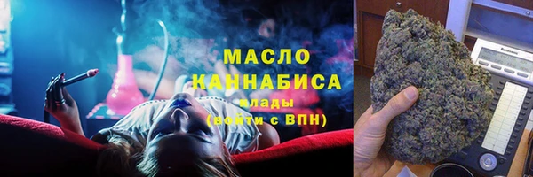 дмт Бородино