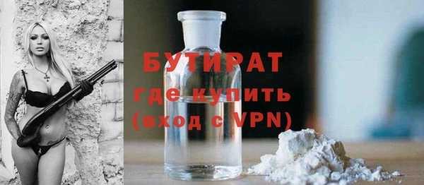 дмт Бородино