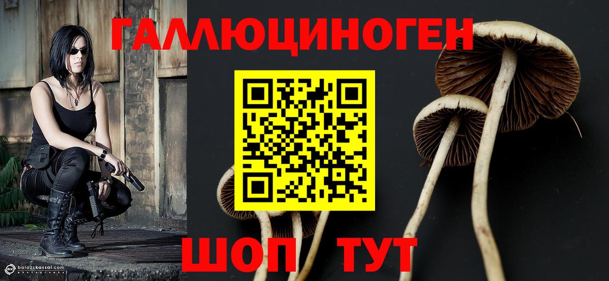 Псилоцибиновые грибы мицелий Бийск
