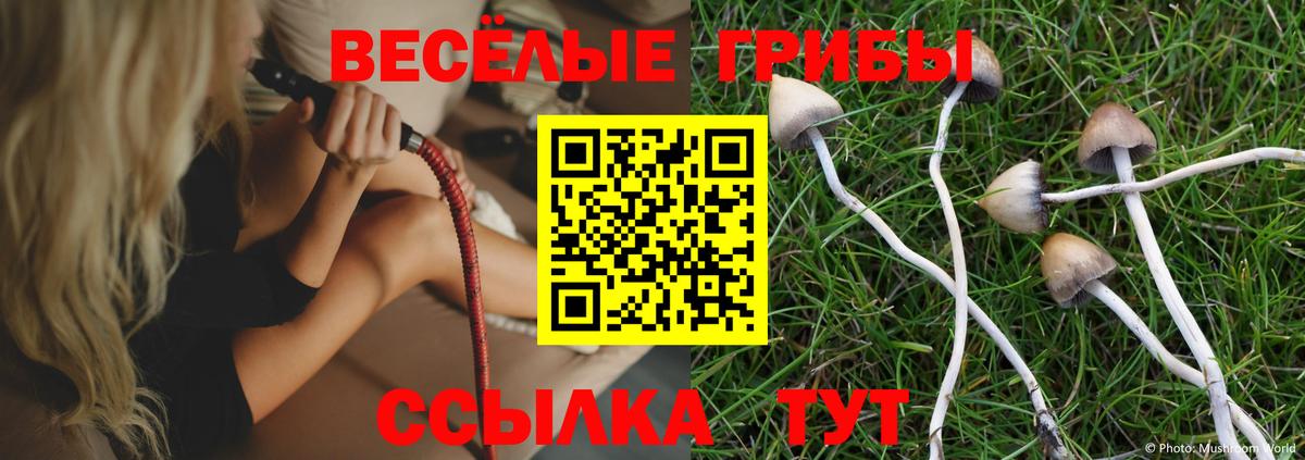 Галлюциногенные грибы ЛСД  Вход с VPN  Бийск 