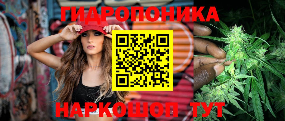Марихуана план  Вход с VPN  МАРИХУАНА индика  Марихуана сатива  Бийск 