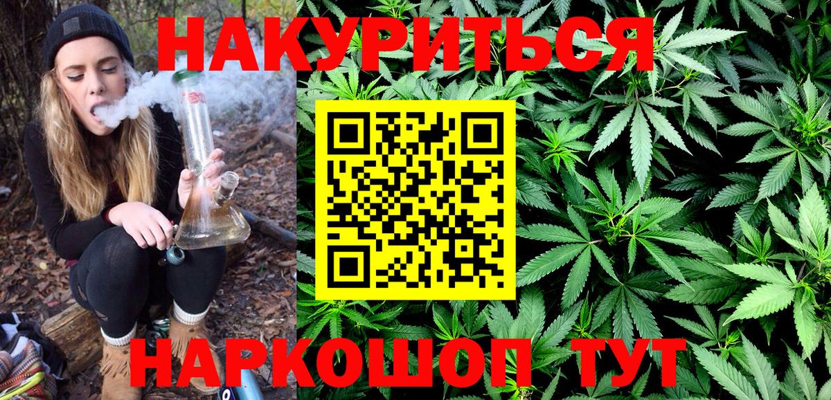 Каннабис план  Каннабис сатива  Бийск 